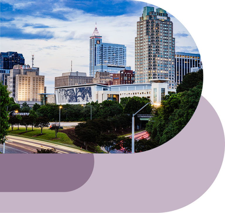 Raleigh Skyline Design Element